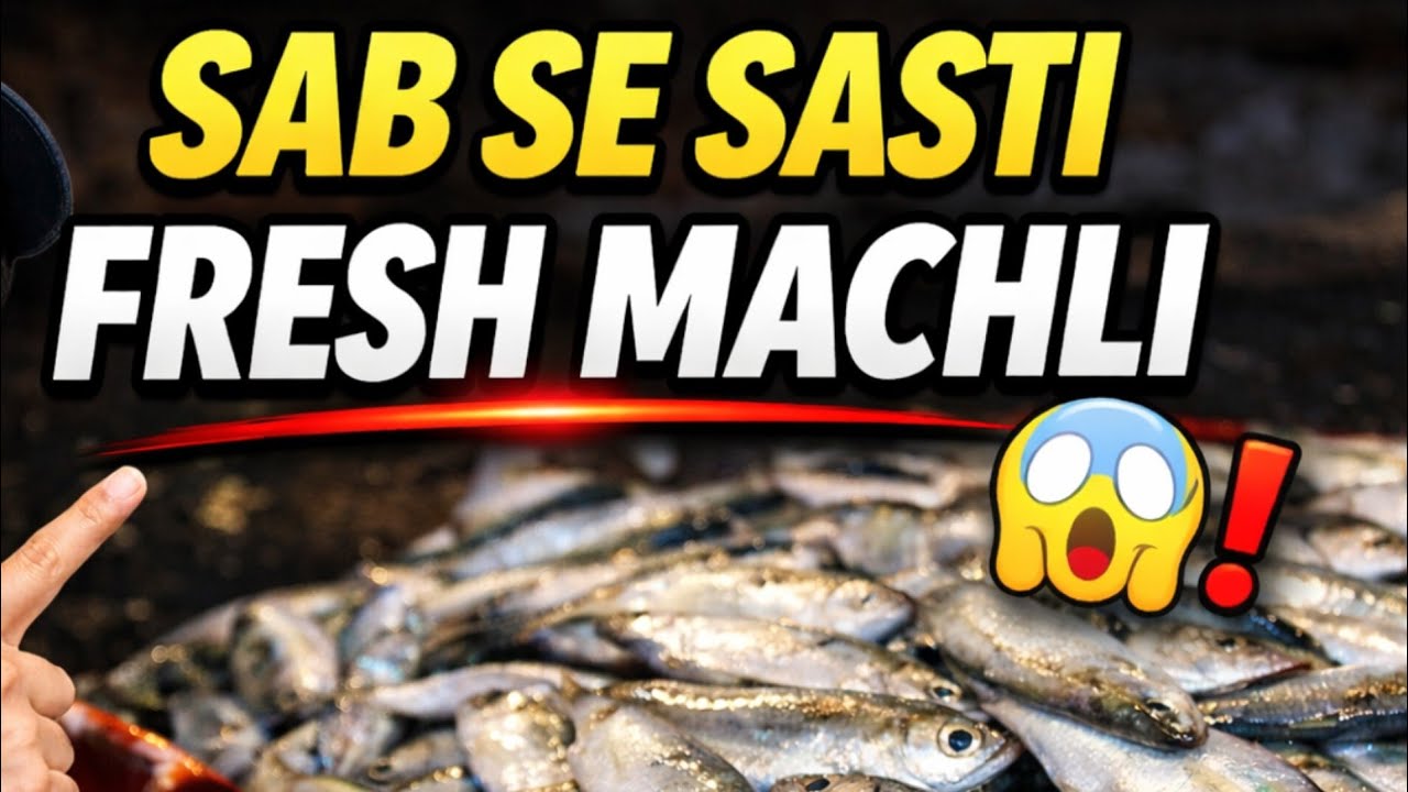 Karachi Dam Mandi Small Fresh Fish Today 🐟 | Sasti Machli Ka Raaz | Fresh Catch Update