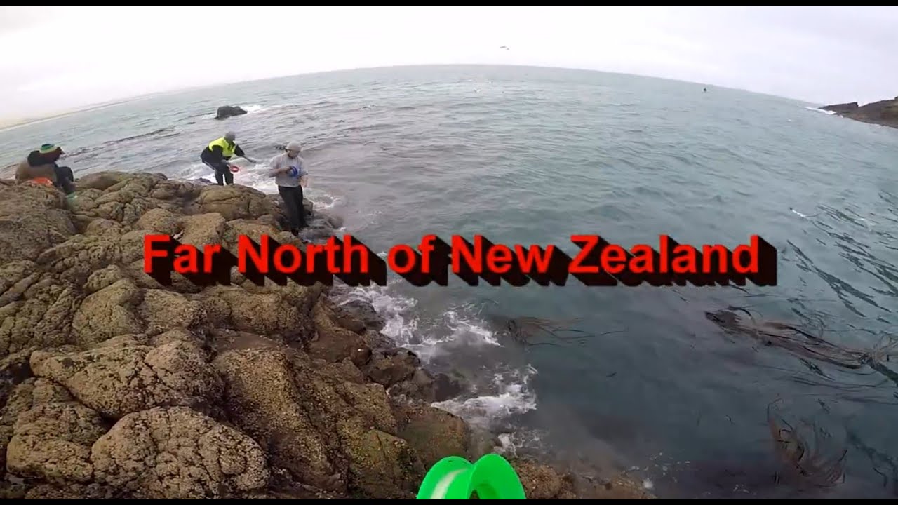 Rock Fishing Far North Of NZ