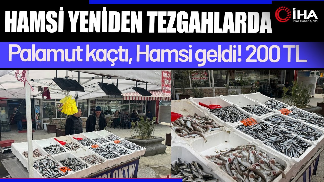 Hamsi yeniden tezgahlarda, 200 liradan alıcı buluyor