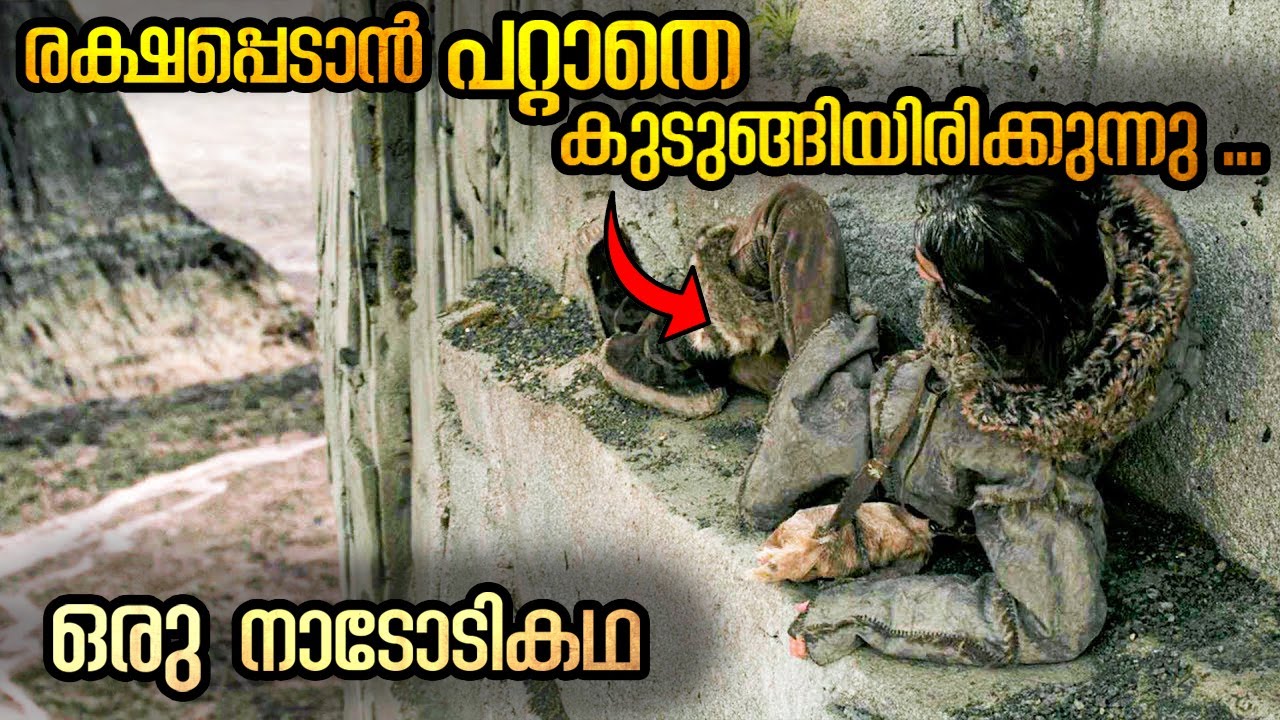 മരണത്തിൽ നിന്ന് രക്ഷപ്പെട്ട ഒരു നാടോടി പയ്യന്റെ കഥ .. ! | Alpha Movie Explanation Malayalam.