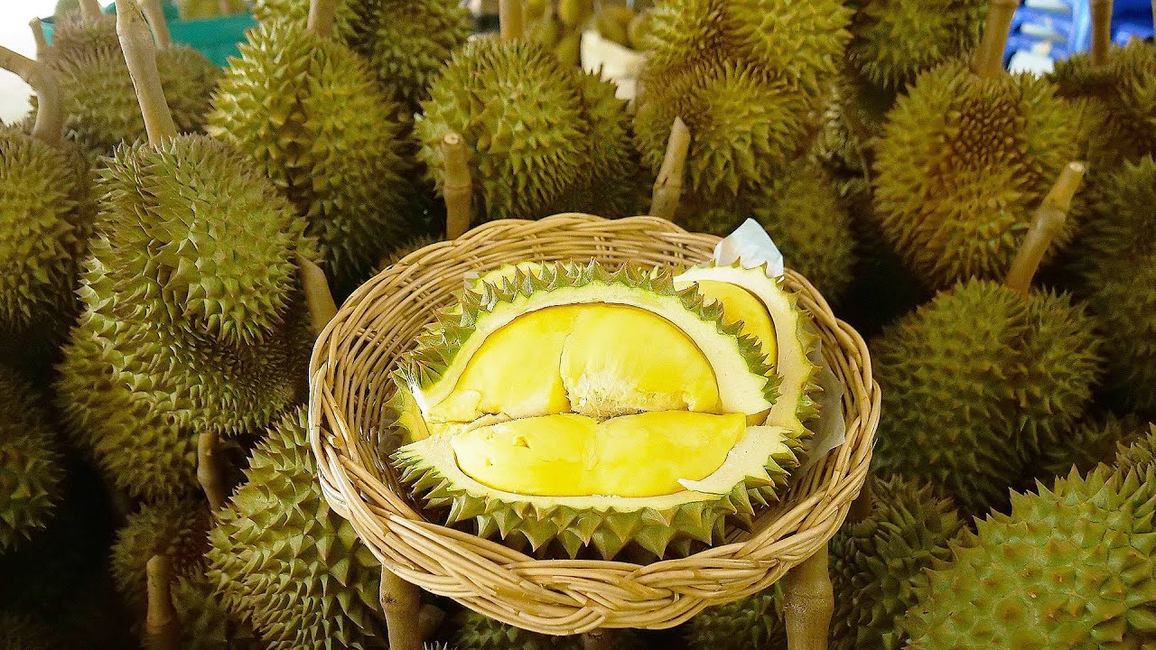 Amazing Durian Farm! Durian Fruit Harvesting Cutting Skills! - Thai Street Food