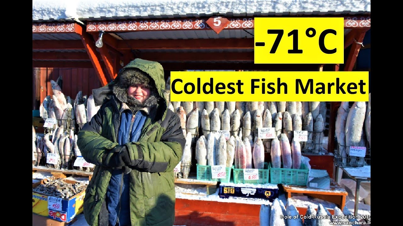 Yakutsk: Coldest Fish Market I ලෝකයේ ශිතම ගම්මානයට I SANCHARA Travel