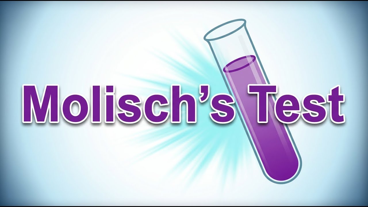 Molisch's Test: Definition, Principle, Procedure, Result, Uses