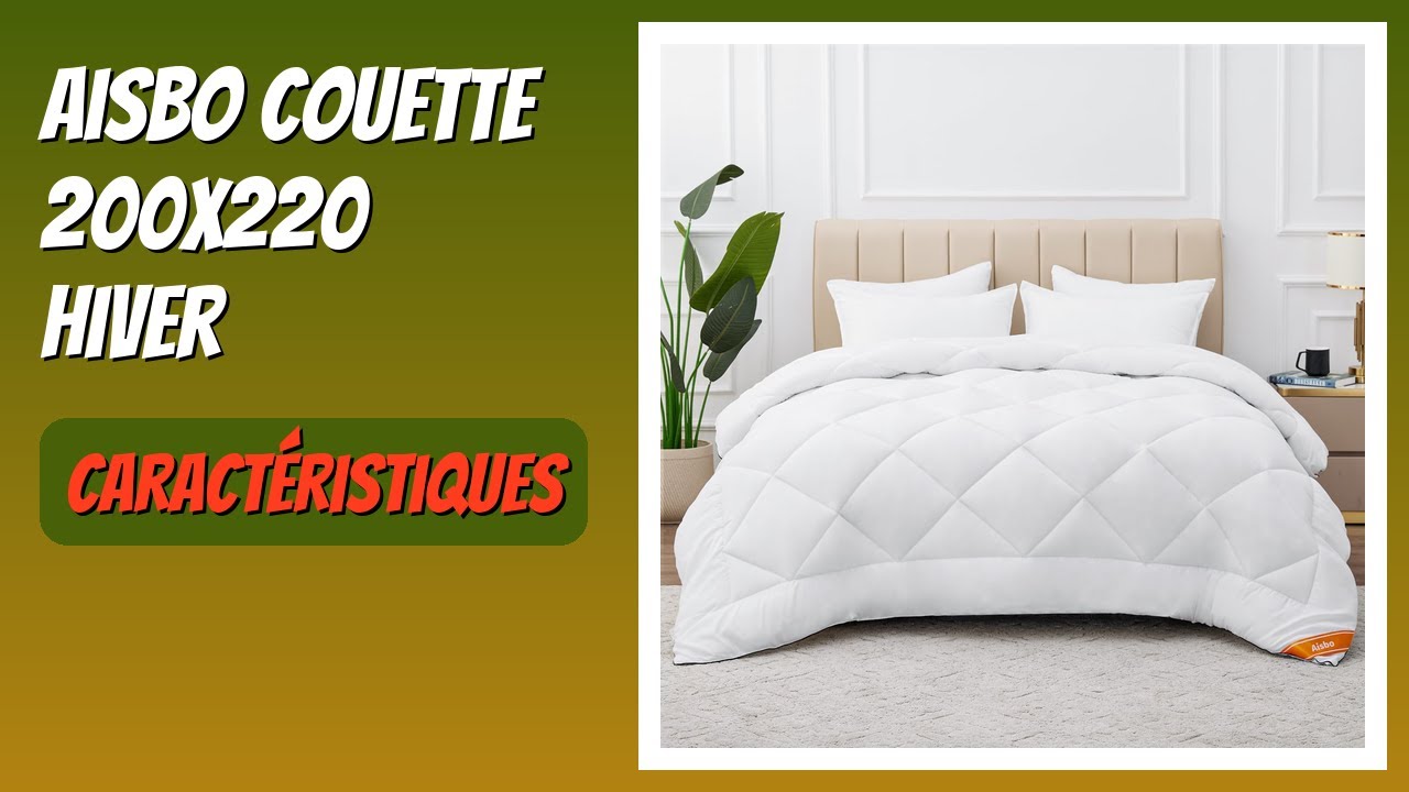 AVIS (2026) : Aisbo Couette 200x220 Hiver. DÉTAILS