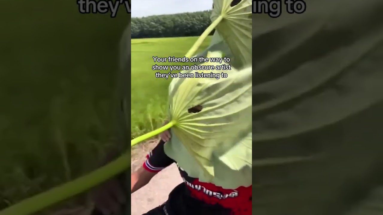 When your friends start listening to obscure artists