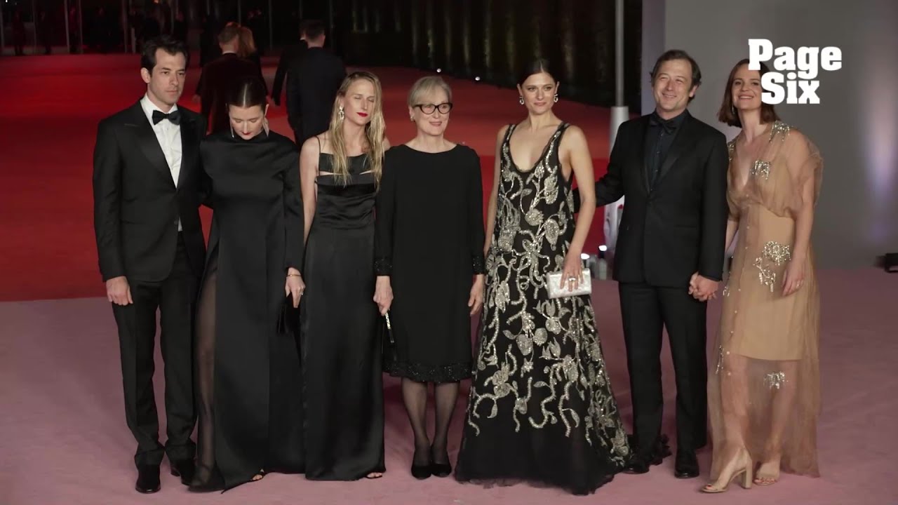 Meryl Streep makes rare red carpet appearance with all 4 kids after Don Gummer separation