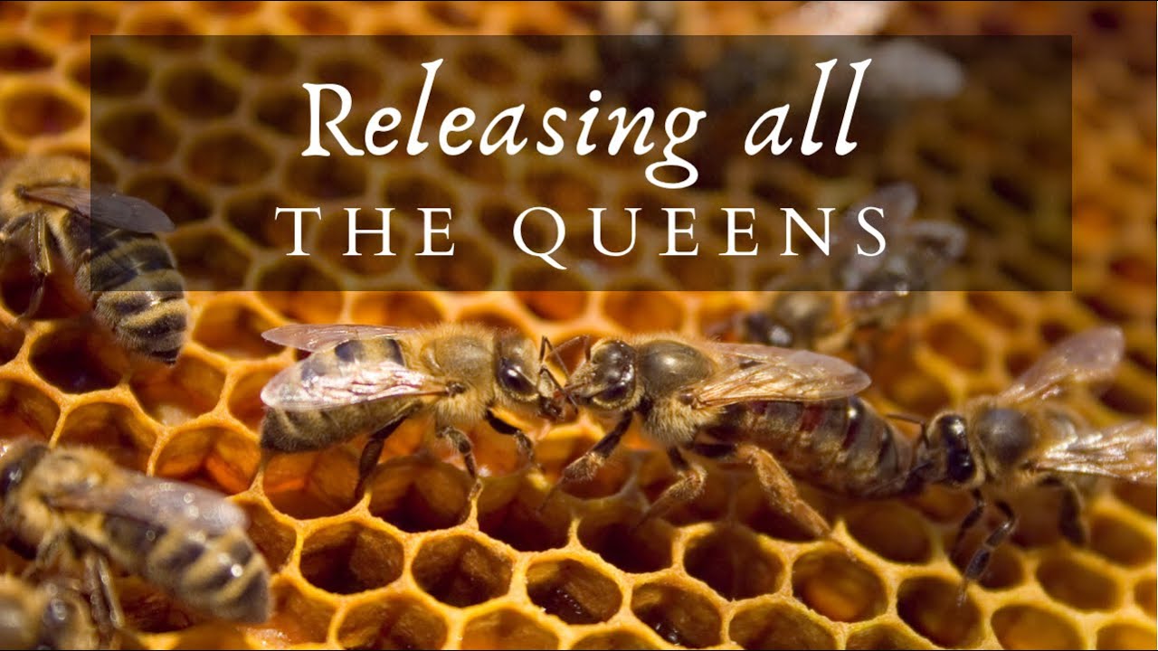 These Queens are ready to GET OUT!!!!
