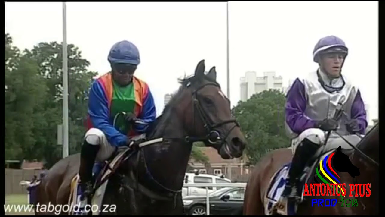 JAMA (Sewdyal Stable)