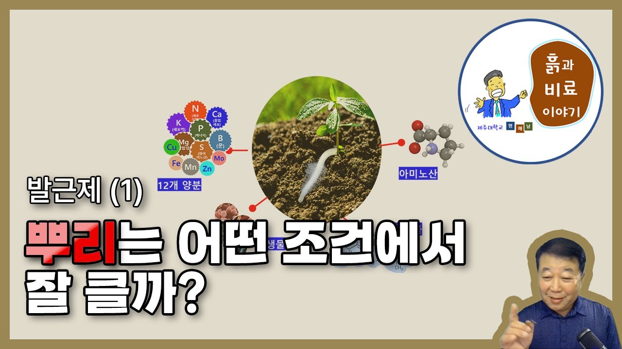 뿌리 성장에 필요한 양분 균형, 미생물, 대사물질, 아미노산 - 발근제(1)