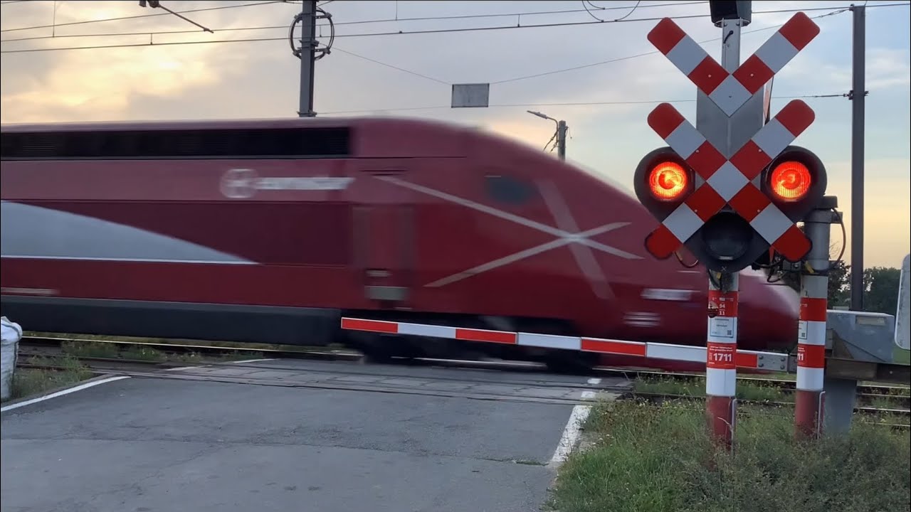 Spoorwegovergang Pepingen (B) // Belgium Railroad Crossing EUROSTAR