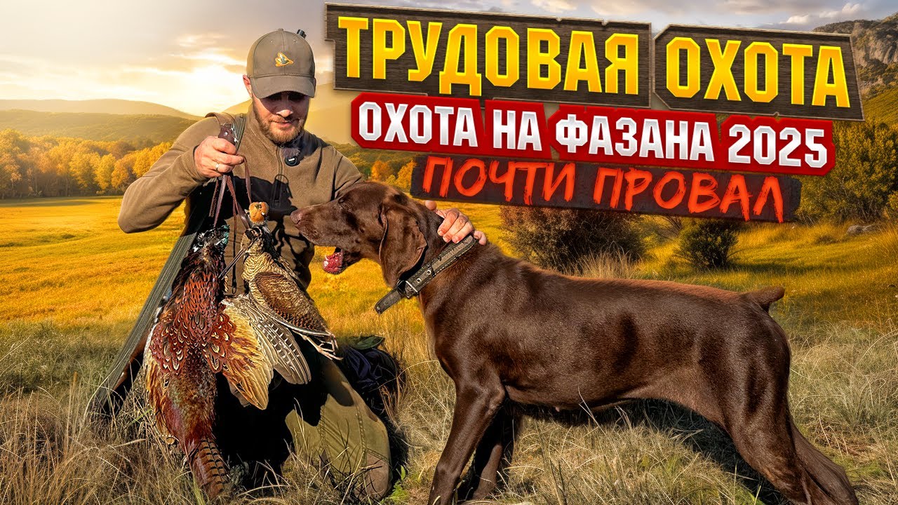ПРОМАХ В КРЫМУ, КОТОРЫЙ СТОИЛ ФАЗАНА! 😱 Трудовая охота с финалом, которого не ждал никто