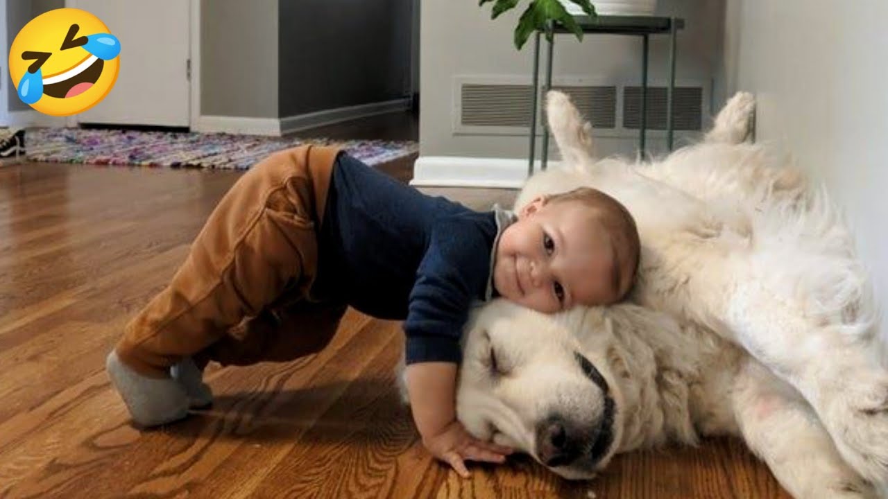 Funny animals videos of Cats🐈 and Dogs🐕2025. Try Not To Laugh 😂