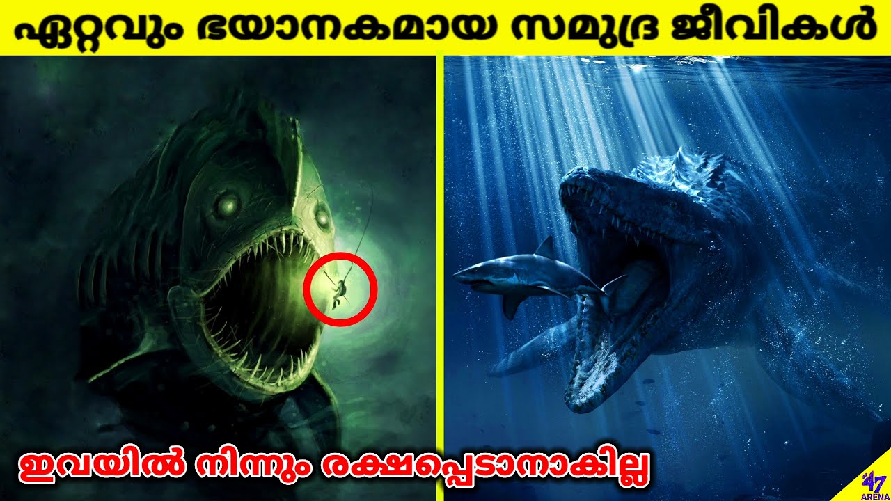 Most Dangerous Ocean Creatures In The World | Facts Malayalam | 47 ARENA