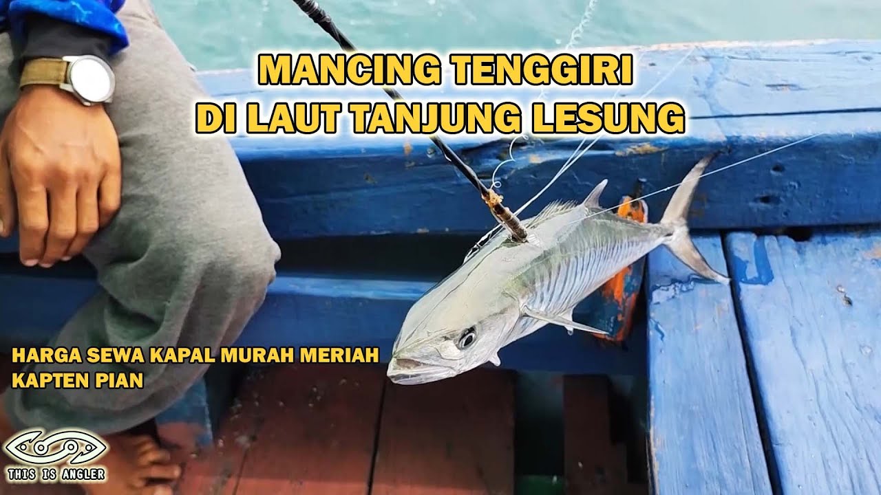 Mancing Ikan Tenggiri Di Spot Potensial, Laut Tanjung Lesung Panimbang Banten