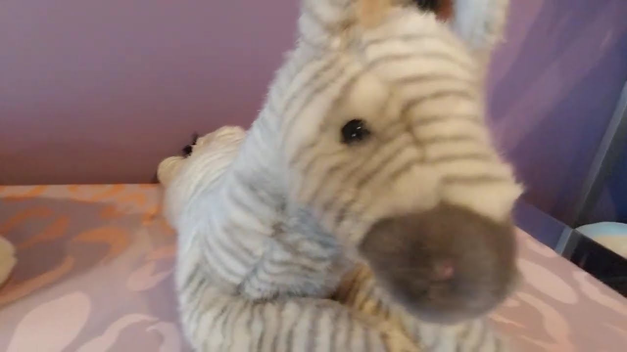 Unboxing Zelda the Zebra Plushie by Douglas Cuddle Toys 🖤🤍