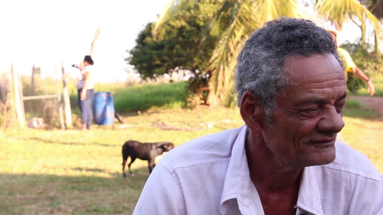 Documentário Miranda MS