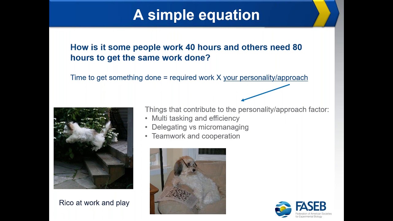 Time Management and Workplace Culture  Do Longer Hours Mean Higher Productivity and