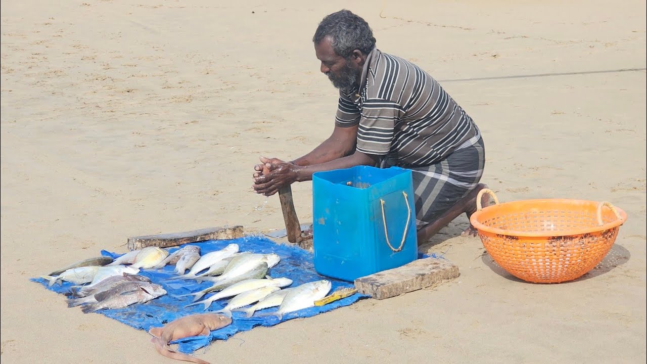 ஞாயிற்றுக்கிழமையும் மீன் விற்பனை நடக்கும் ஒரே இடம்| Thoothukudi
