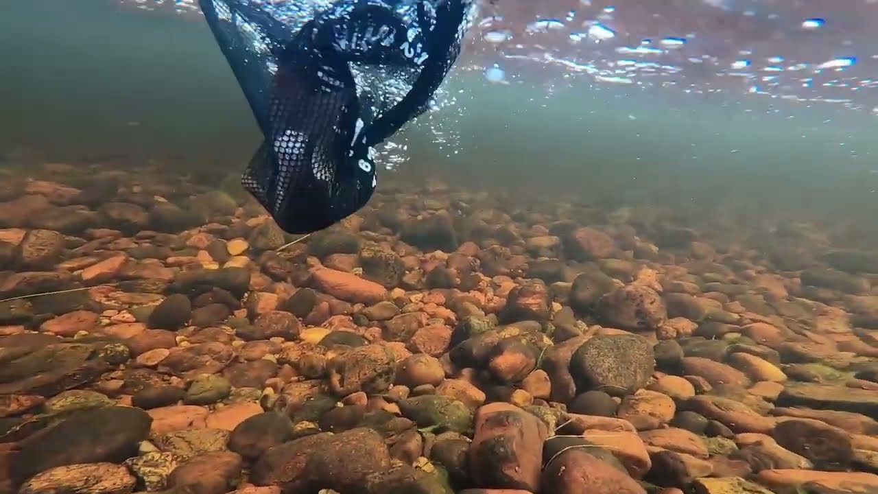 Dalarna fishing trip