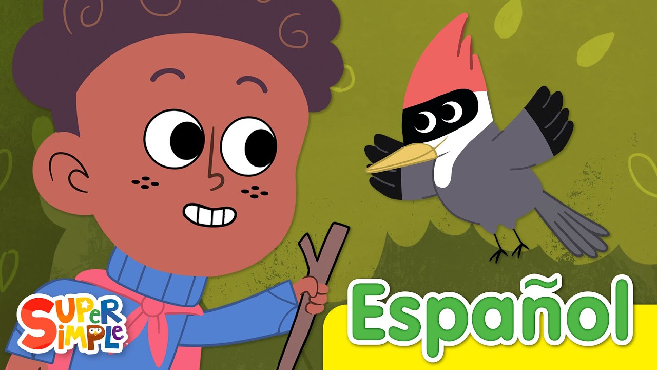 Caminando Por El Bosque | Canciones Infantiles