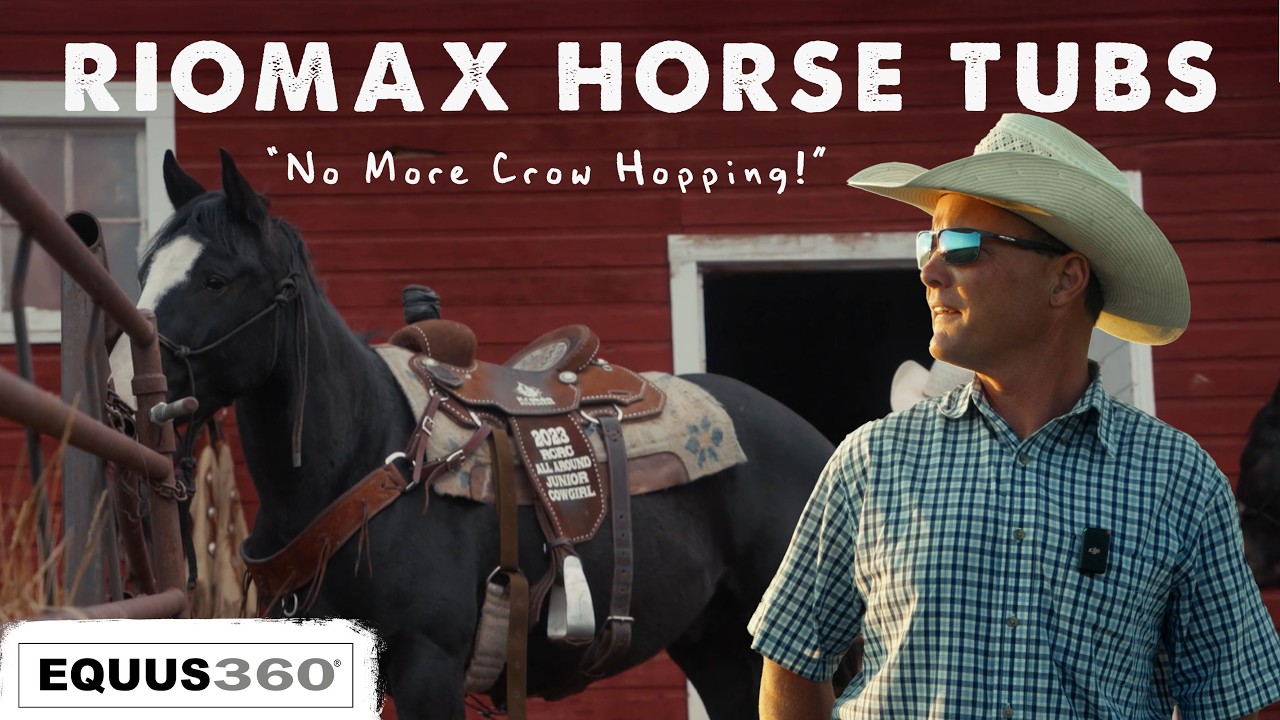 When We Took These Tubs Away From Our Horses… A Weird Thing Happened