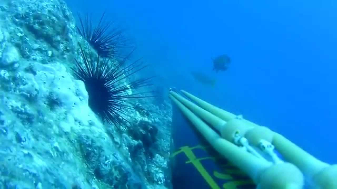 Pesca submarina de verano - kraken 110 carbono - fuerteventura 2014