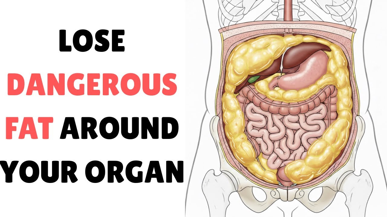 Visceral fat around your organs is DANGEROUS.