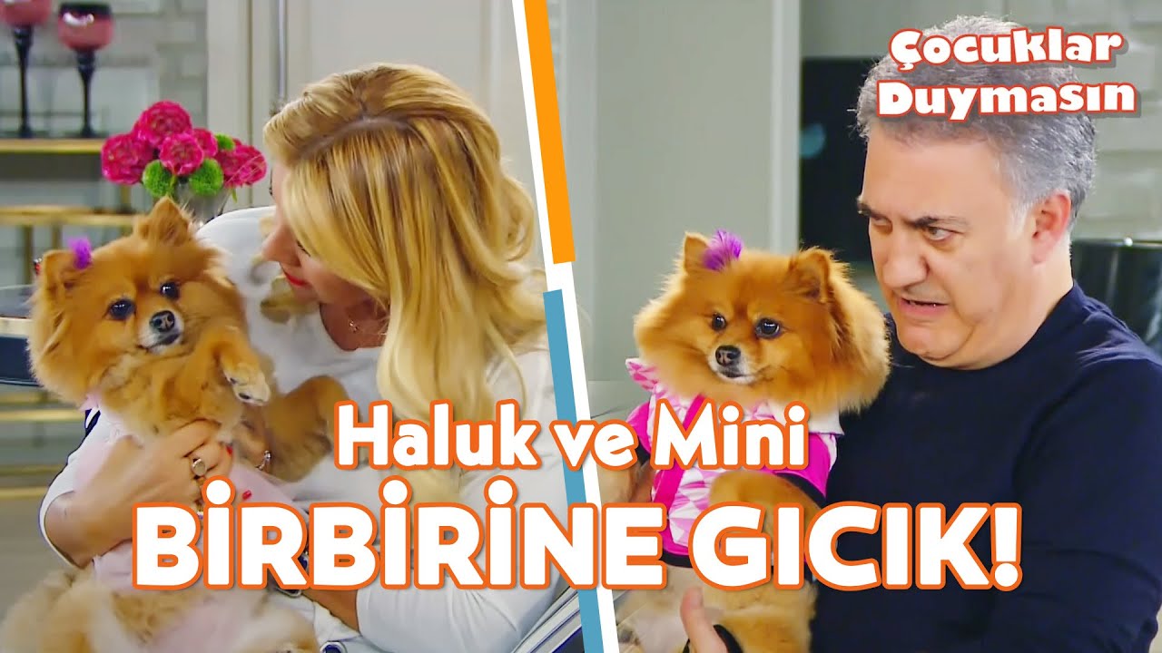 Haluk'un Mini Macerası! 🐶 - Çocuklar Duymasın Özel Kolaj