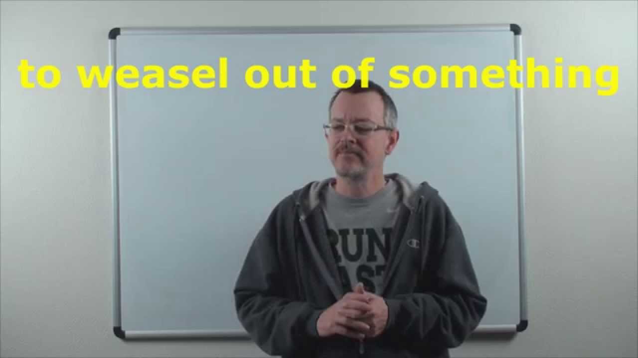 Learn English: Daily Easy English Expression 0704: to weasel out of something