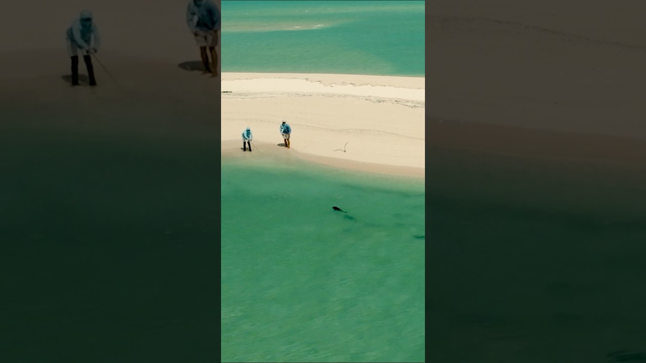 Epic Drone Shot: Fly Fishing for Giant Trevally on the Beach
