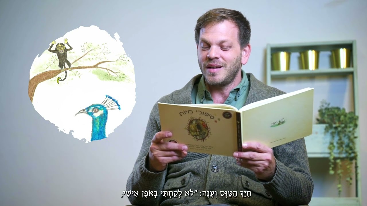 סיפורי חיות - 02 טווס