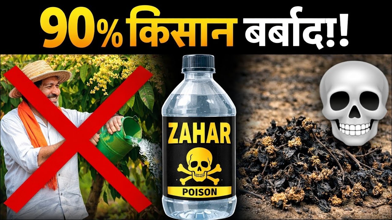 Aam ki Kheti Barbaad? 💀 90% Kisaan ye KHATARNAAK Galti kar rahe hain! 🥭 Stop Mango Flower Drop