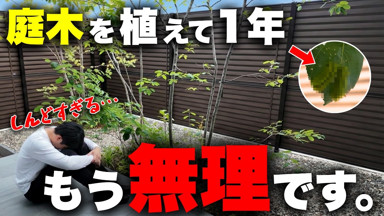 安易に庭木を植えまくった末路。1年住んで分かった「4つの現実」