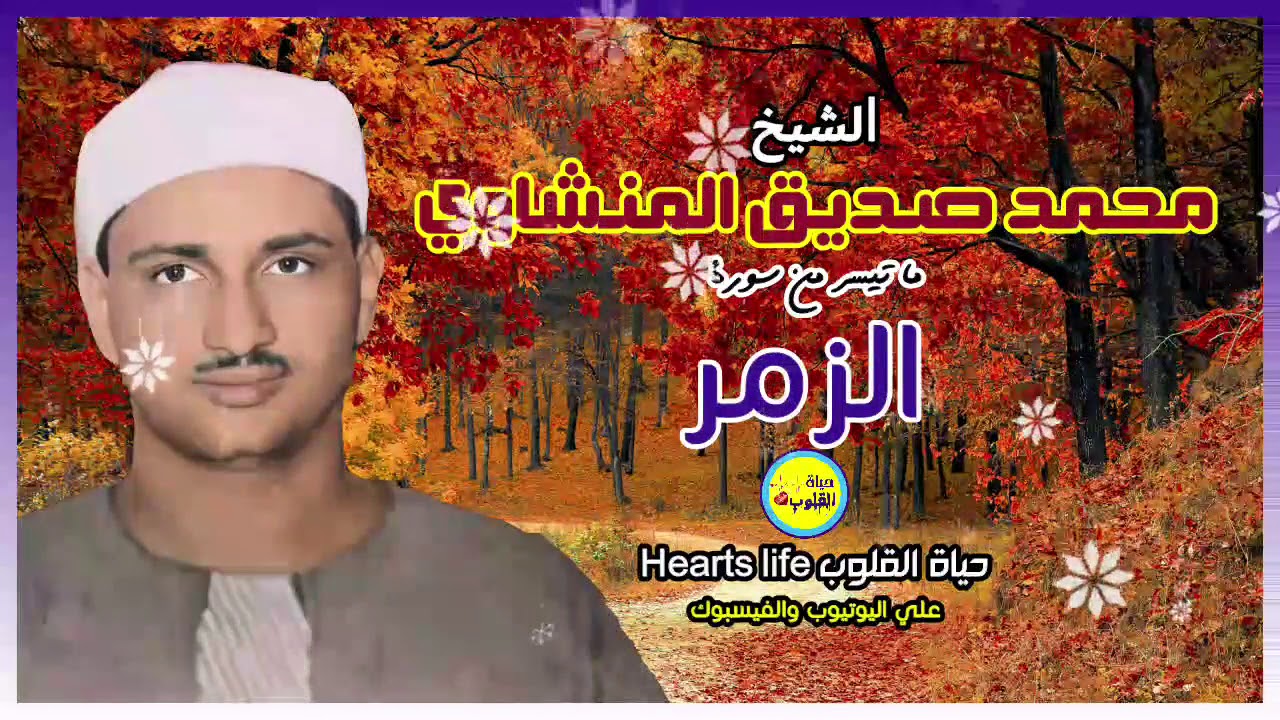 ماذا بينك وبين ربك يا شيخ محمد حتي يعطيك هذا الصوت بهذا الخشوع تلاوة لآخر سورة الزمر للمنشاوي