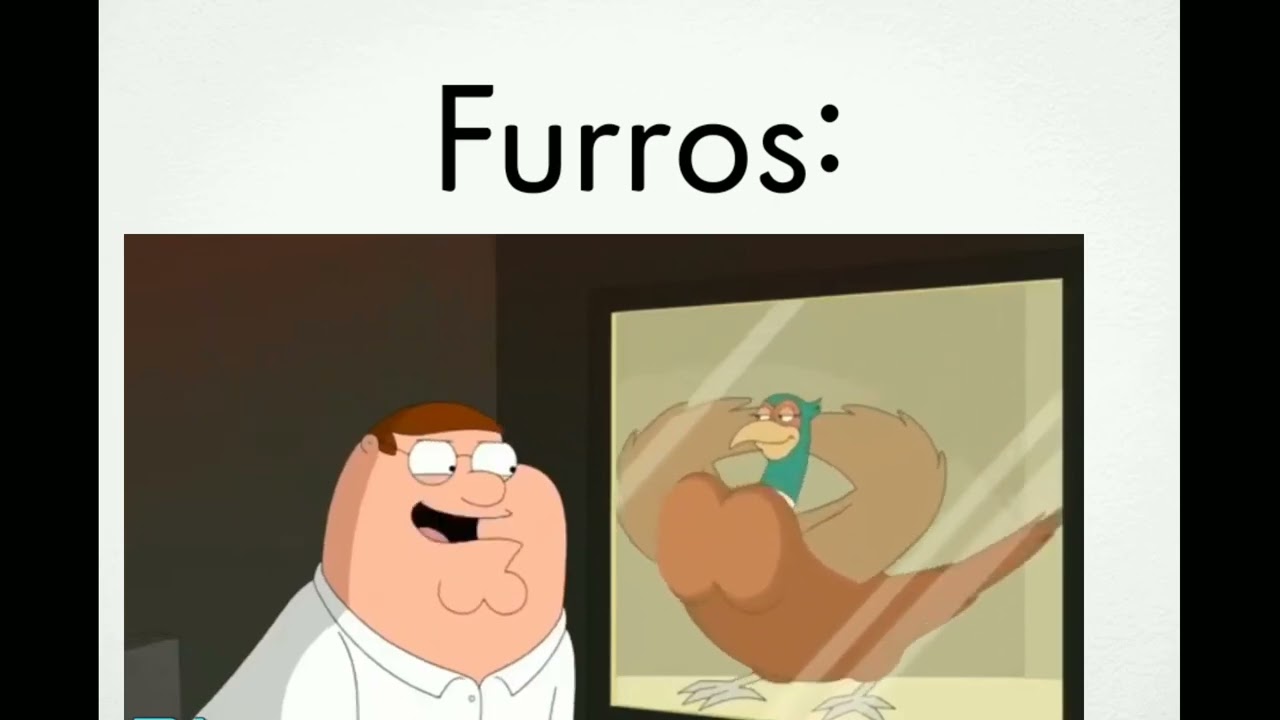 Furros:
