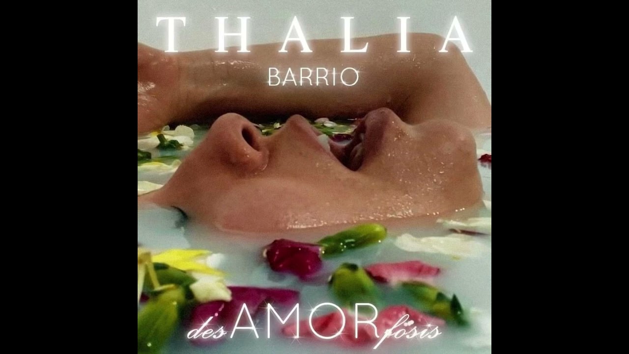 Thalia - Barrio [DJ Edson Mainroom Full Vocal Remix]