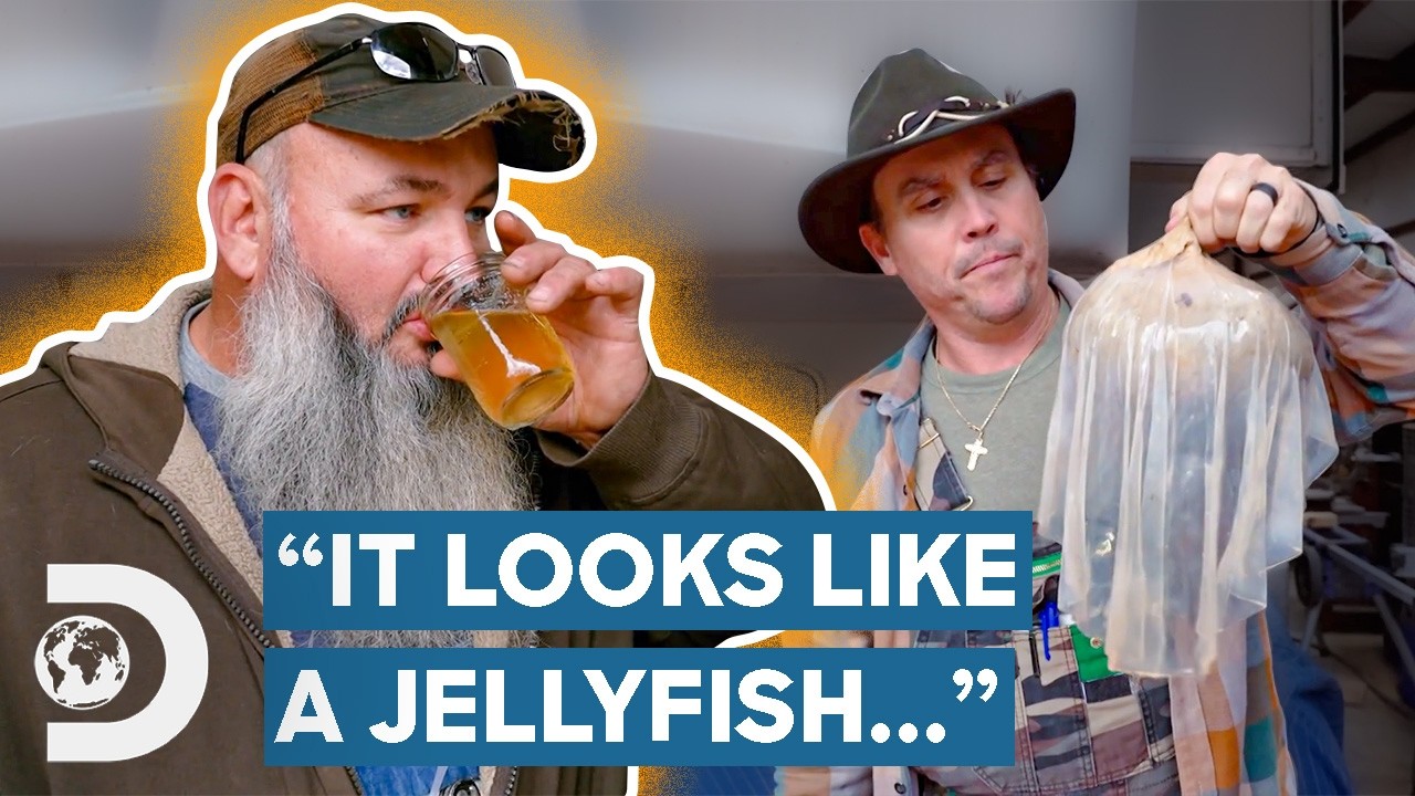 Майк и Джерри варят крепкий комбуча для коммуны хиппи | Самогонщики