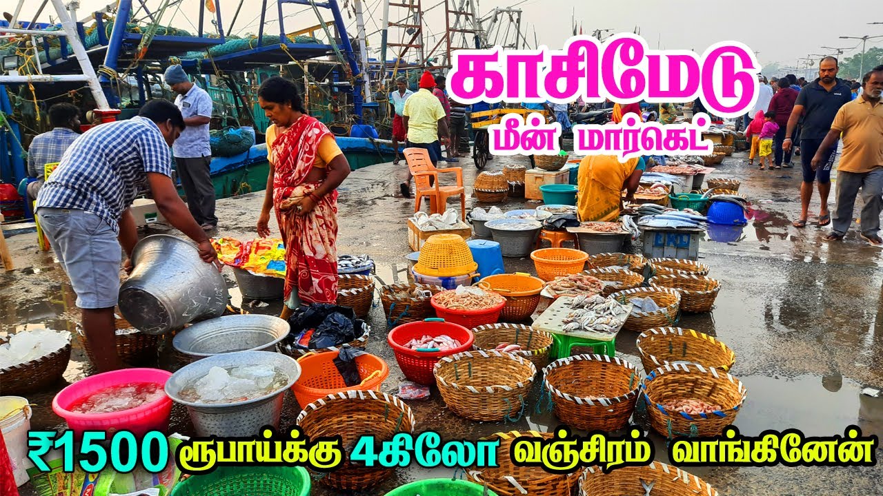 💥Kasimedu Fish Market|காசிமேடு மீன் மார்க்கெட்💥மொத்த மீனும் ஒரே இடத்தில்