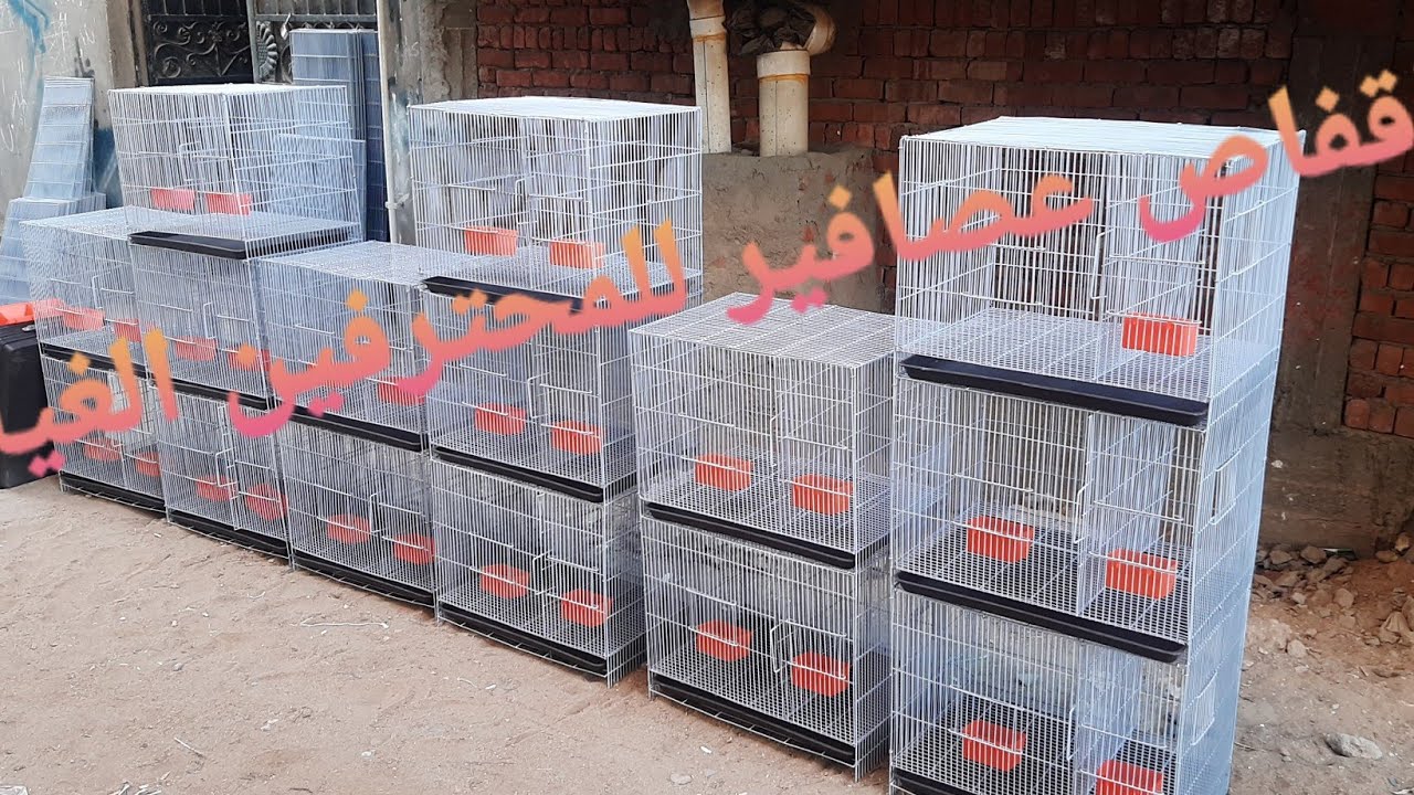 اقفاص عصافير ٦٠ ف ٤٠  vip