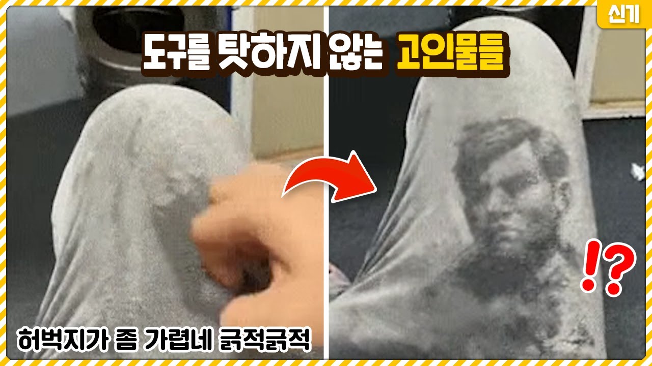 이제 하다하다 바지로 예술을 하는 고인물들ㄷㄷ