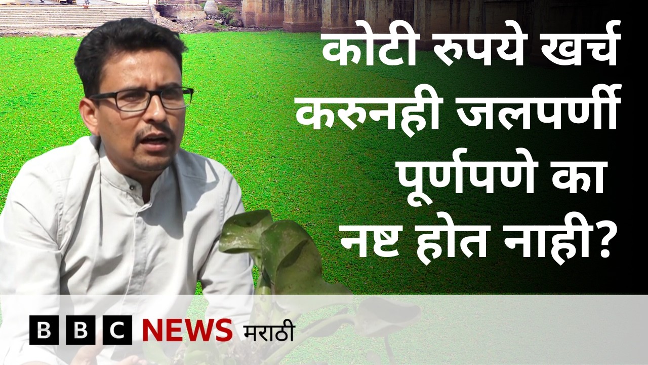 जलपर्णीचं संकट का जात नाही? तलाव, नद्यांना काय धोका आहे?