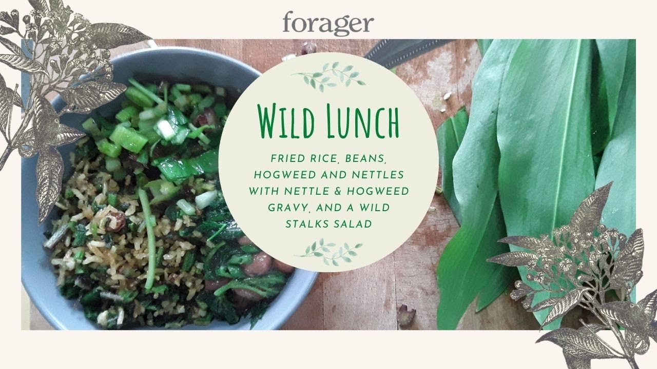 Wild Gravy Lunch