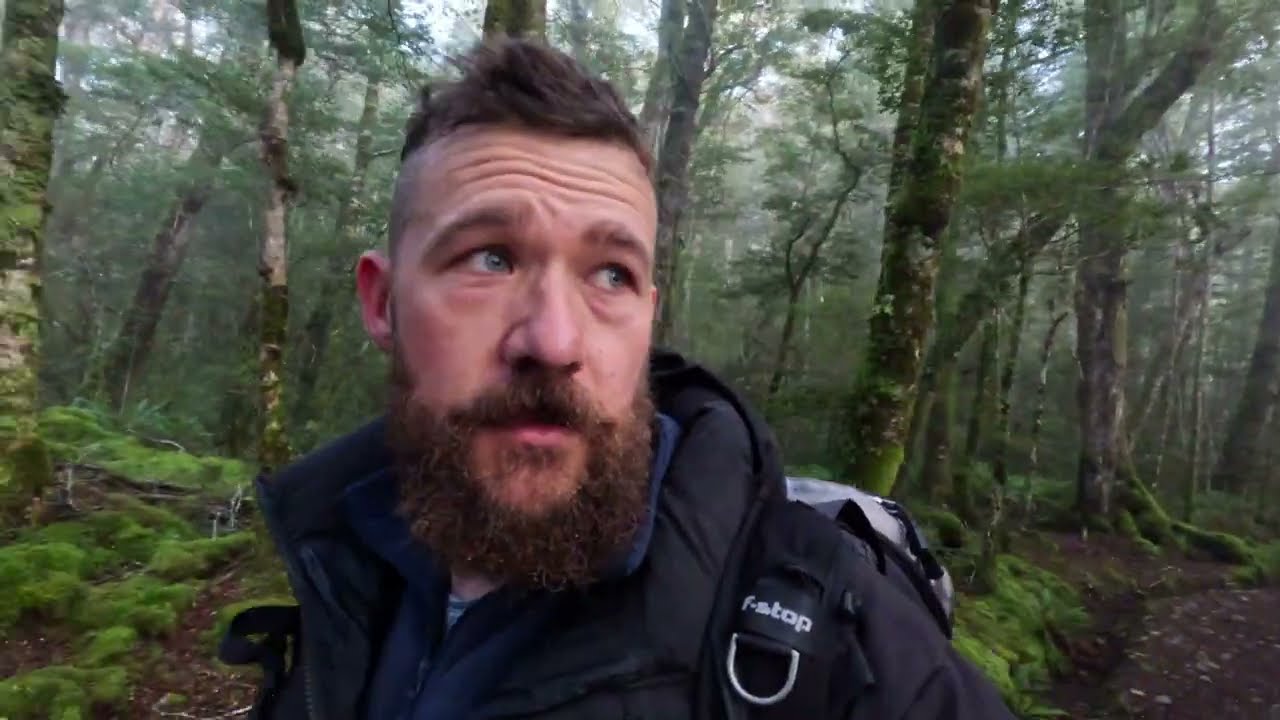 New Zealand Landscape Photography | Lush Rainforests In Fiordland