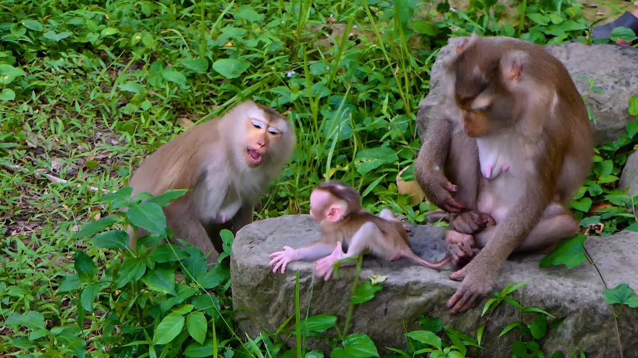 Best moment ! Joyce and Libby are teaching newborn JACEE together, Look at Joyce so Funny