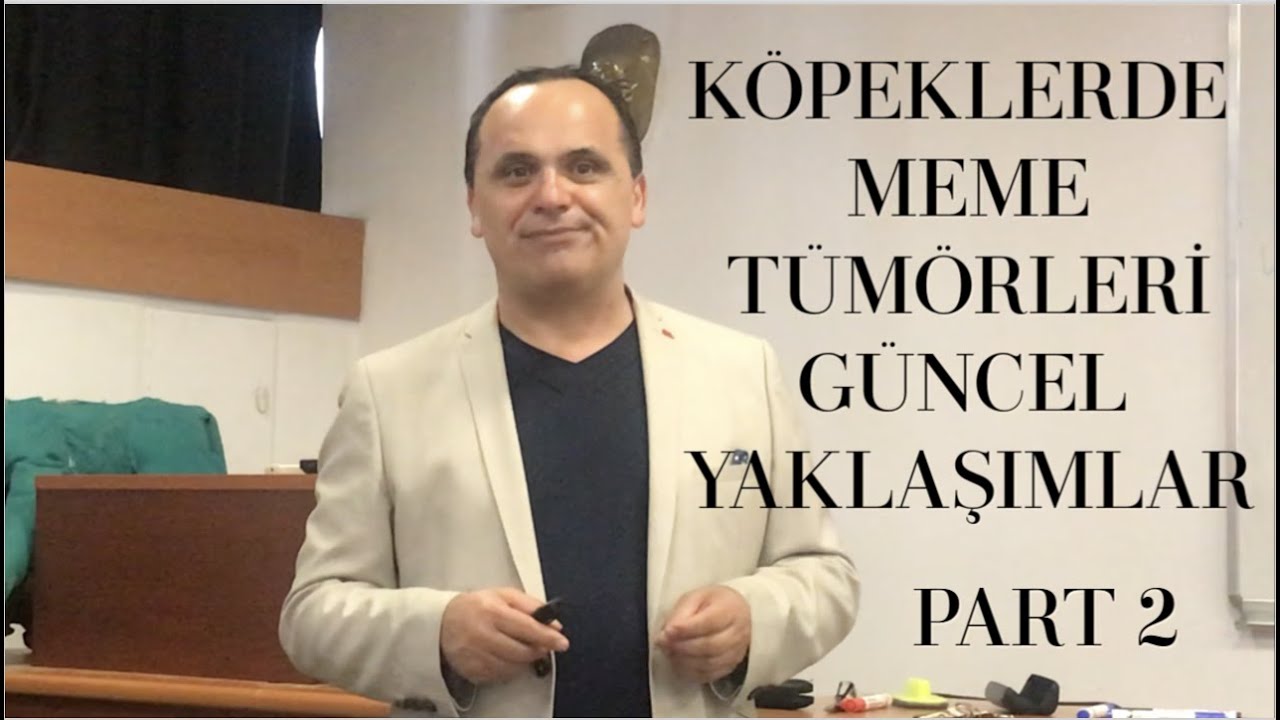 Köpeklerde Meme Tümörlerine Güncel Yaklaşımlar Part 2 | Prof. Dr. Ayhan Baştan
