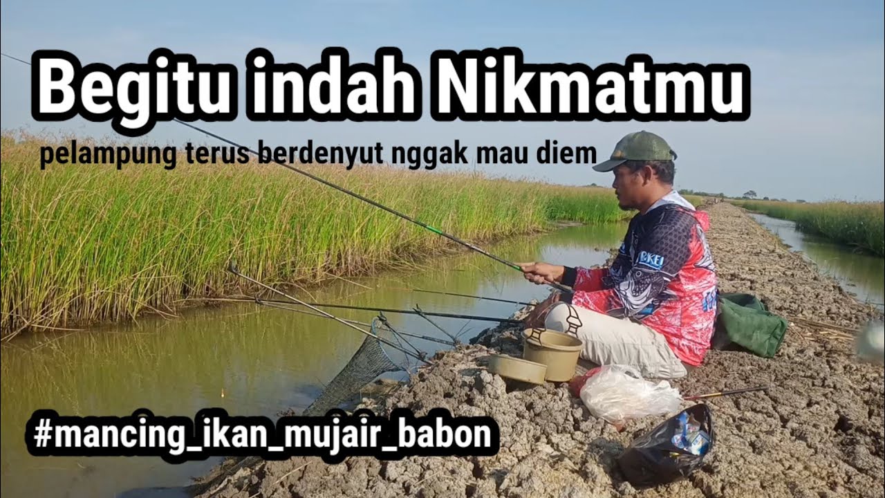 Spot mancing tambak dangkal paling Dop nyotttt || Mancing ikan mujair Babon