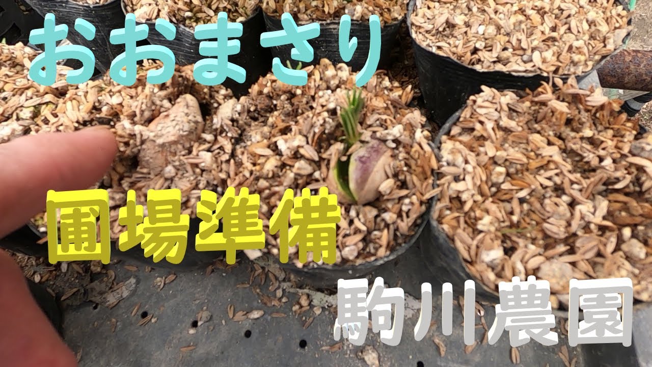 落花生おおまさリ圃場準備　邑南町　駒川農園　22.4.15
