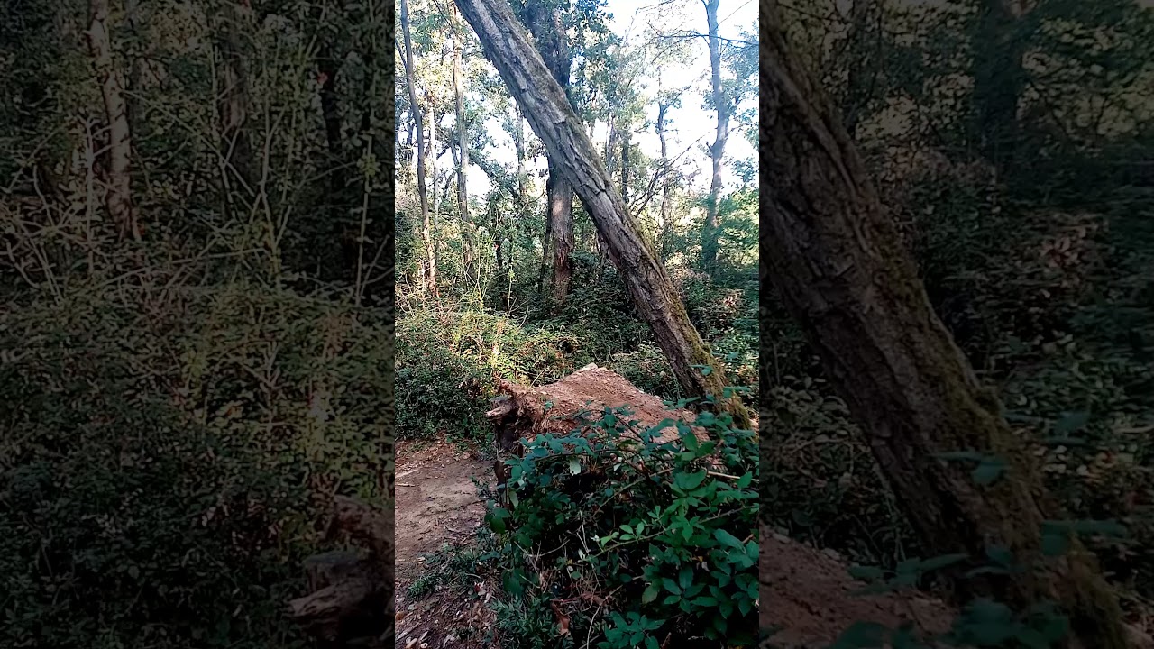 #vtt #vttenduro #vttattitude #vttelectrique #vttelugugamer #bike #bikelife