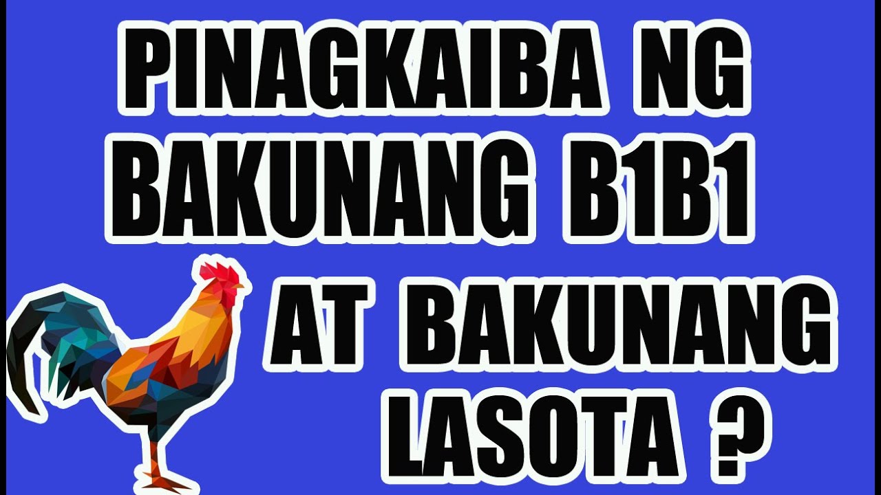 PESTE SA MANUKAN PAANO MAIIWASAN?