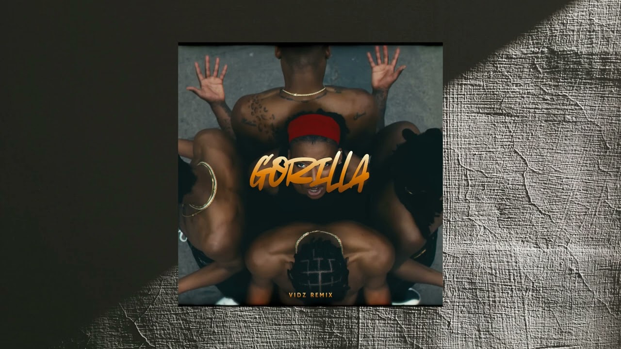 Gorilla - Little Simz (VIDZ Remix Bootleg) 